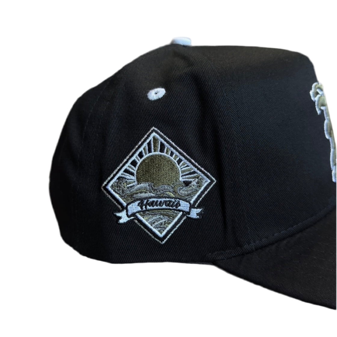 Shooting H "Blk/Olv/Whi" Snapback